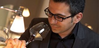 the-wines-of-provence