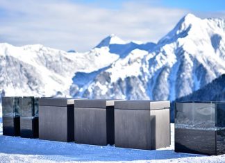 steininger_by_gortana_2