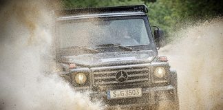 mercedes-benz-g-350-d-professional-5