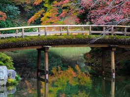 tokyo-imperial-palace-gardens