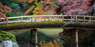 tokyo-imperial-palace-gardens