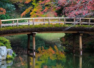 tokyo-imperial-palace-gardens