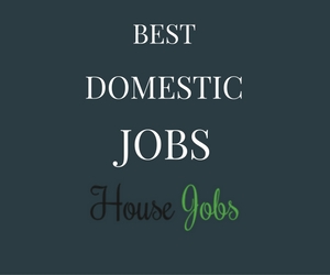 domestic jobs
